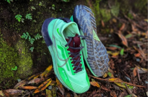 Nike Pegasus Trail 4 Gore-Tex