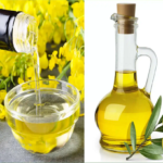 rapeseed oil vs olive oil