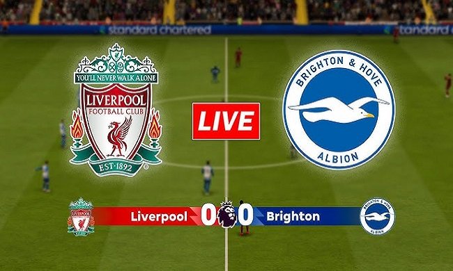 liverpool f.c. vs brighton & hove albion f.c. timeline