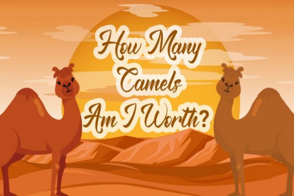 how many camels am i worth