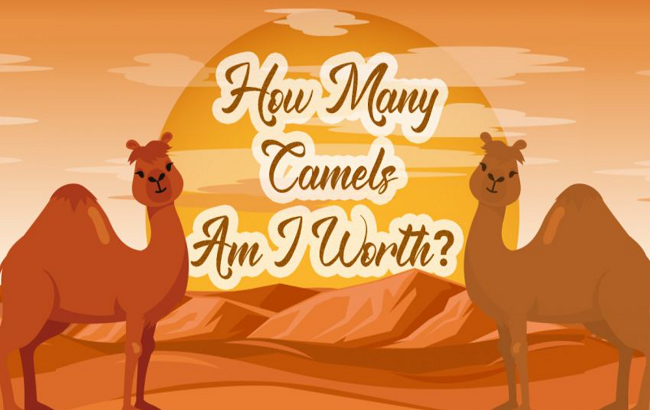 how many camels am i worth