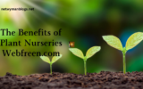 The Benefits of Plant Nurseries Webfreen.com